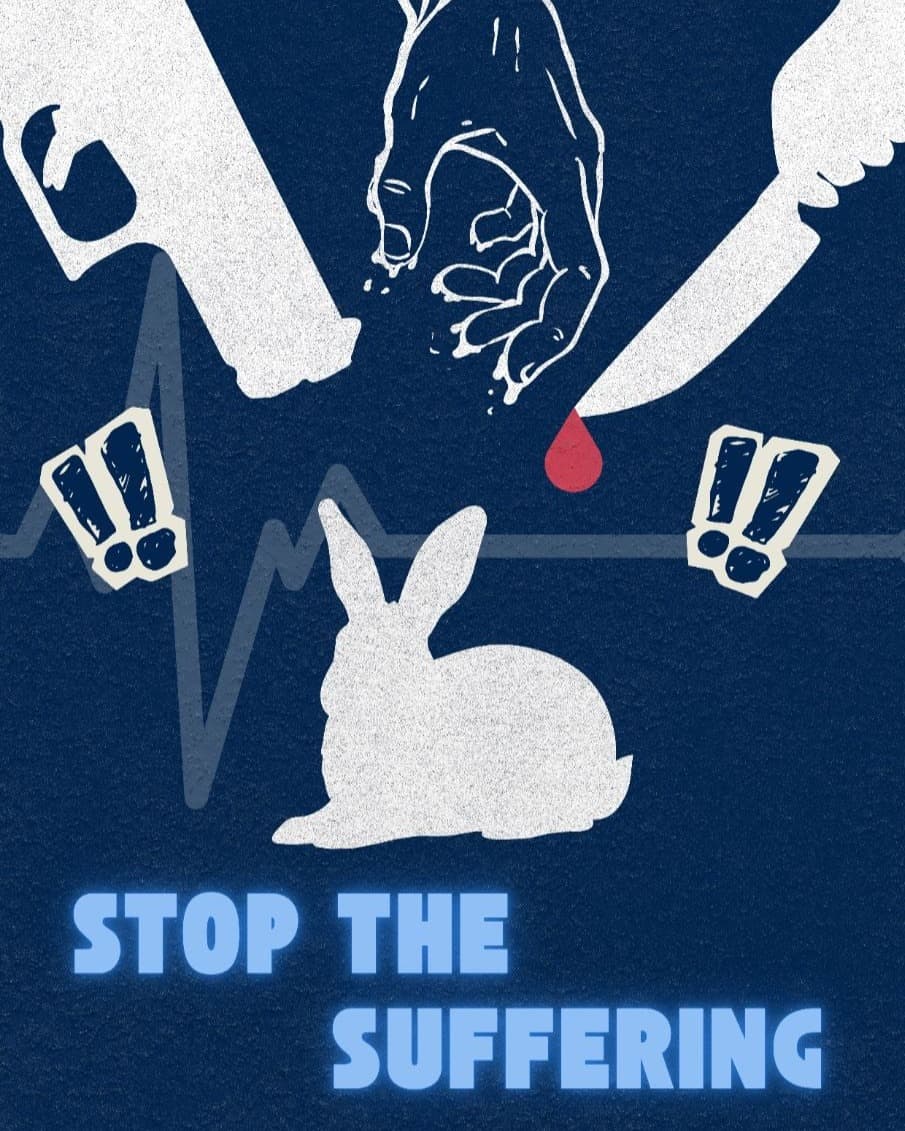 Awareness Poster — Stop the Suffering